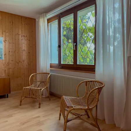 With Pool And View Of Thun *