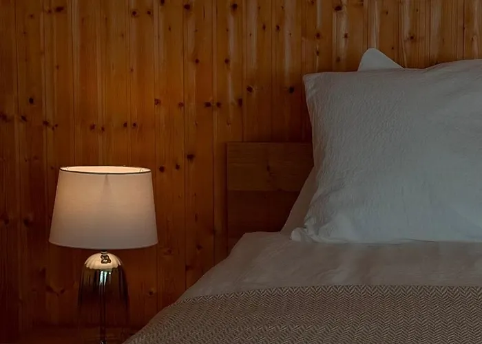 With Pool And View Of Thun