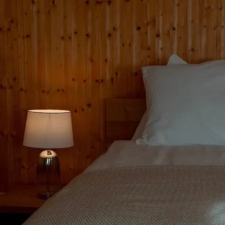 With Pool And View Of Thun